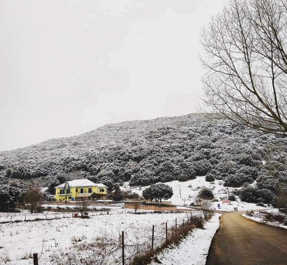 Guesthouse Bizani Neo Mpizani ภายนอก รูปภาพ